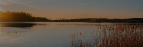 Outdoor shot of lake at sunset, with a line of dark reeds in the foreground and a tree-lined shore in the distance.
